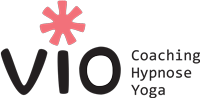 VIO consult Logo 1